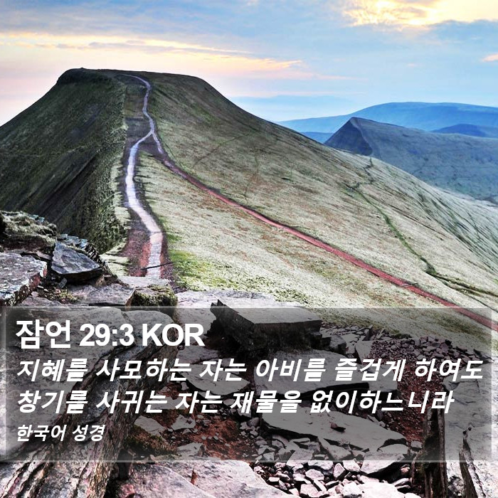 잠언 29:3 KOR Bible Study