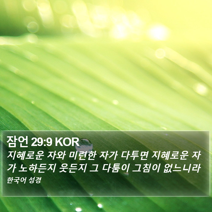잠언 29:9 KOR Bible Study