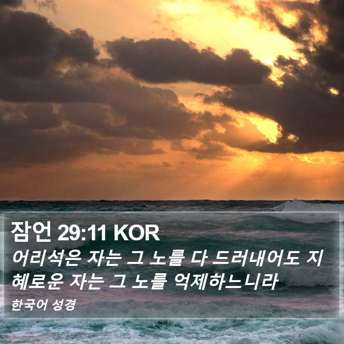 잠언 29:11 KOR Bible Study