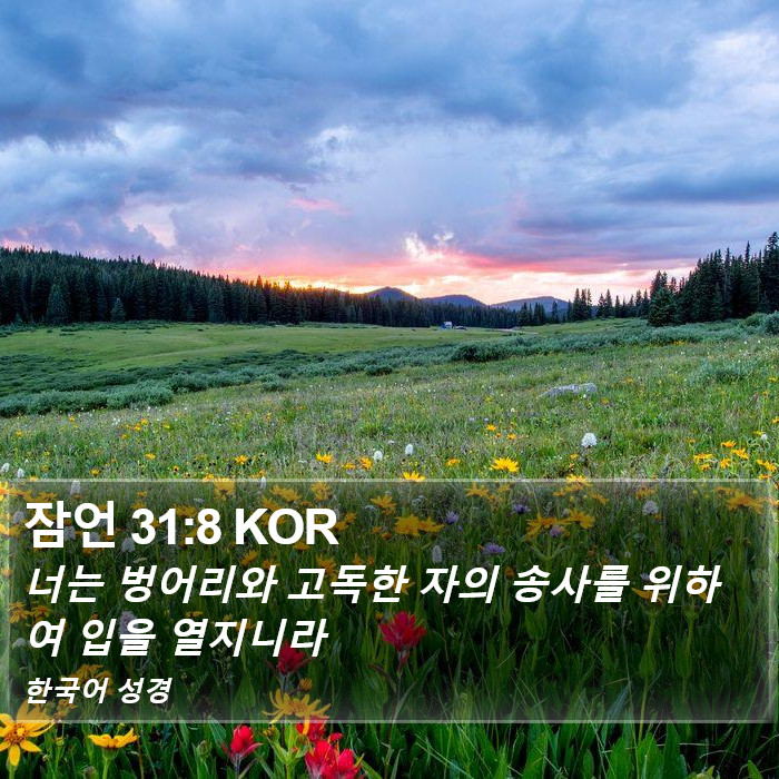 잠언 31:8 KOR Bible Study