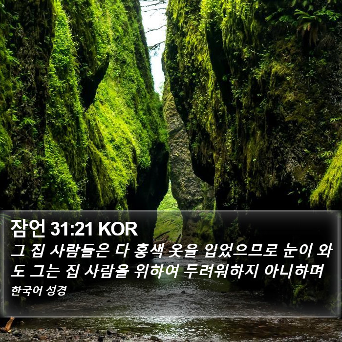 잠언 31:21 KOR Bible Study