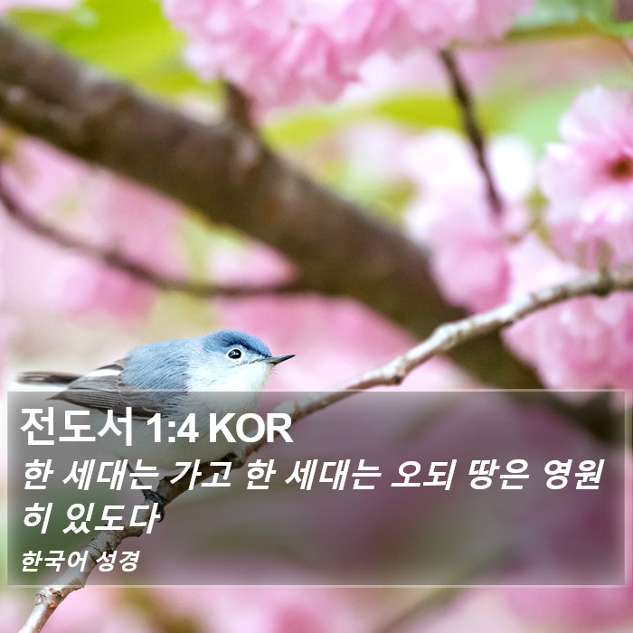 전도서 1:4 KOR Bible Study