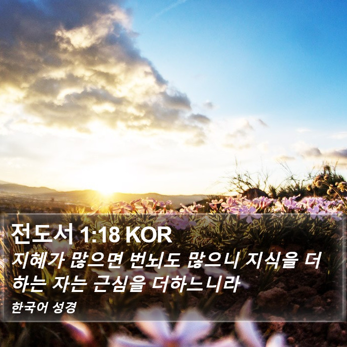 전도서 1:18 KOR Bible Study