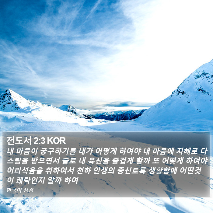 전도서 2:3 KOR Bible Study