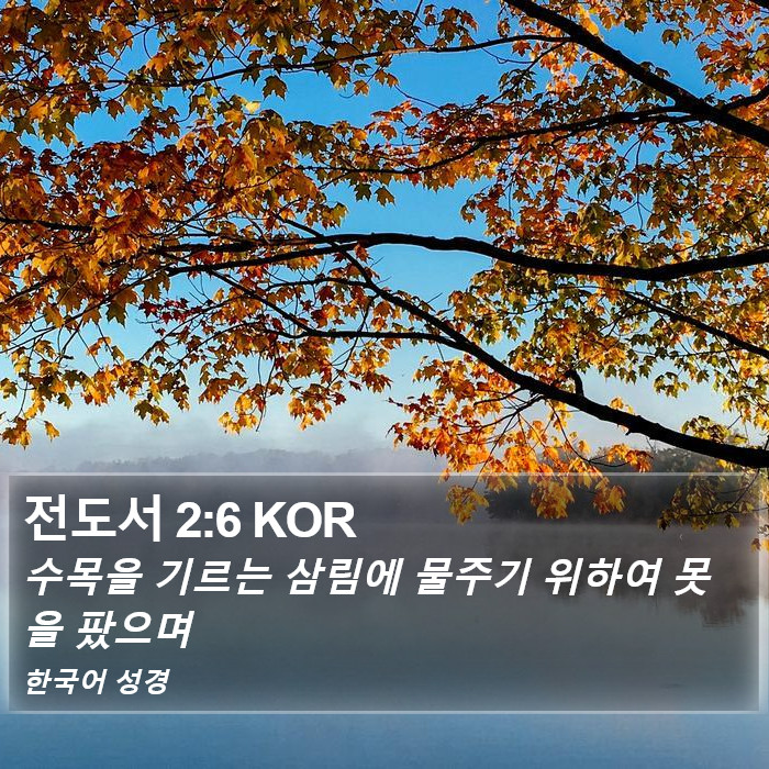 전도서 2:6 KOR Bible Study