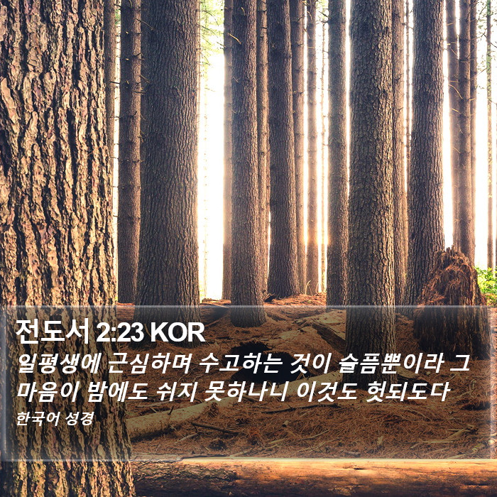 전도서 2:23 KOR Bible Study