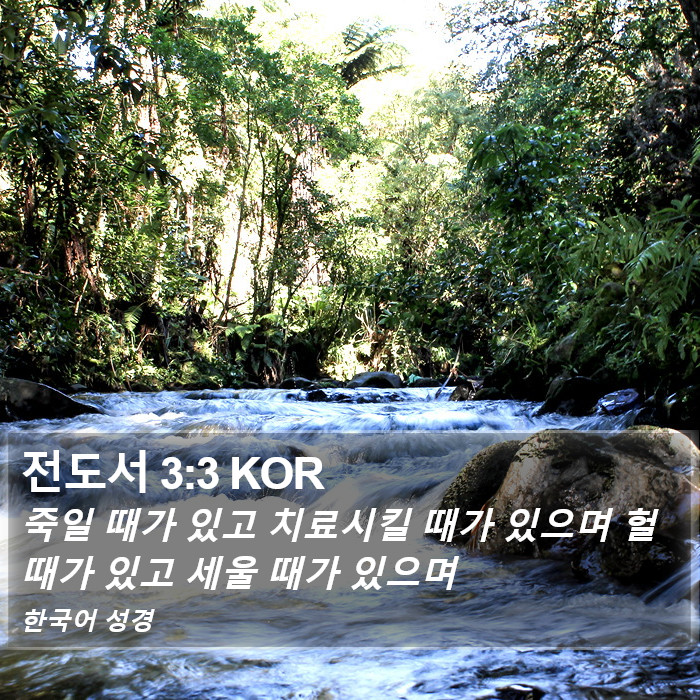 전도서 3:3 KOR Bible Study