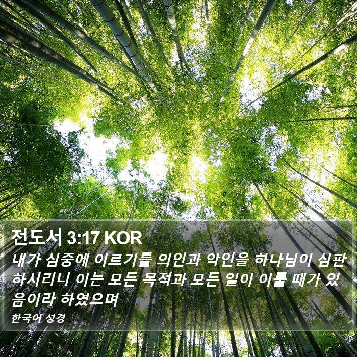 전도서 3:17 KOR Bible Study
