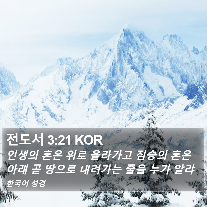 전도서 3:21 KOR Bible Study