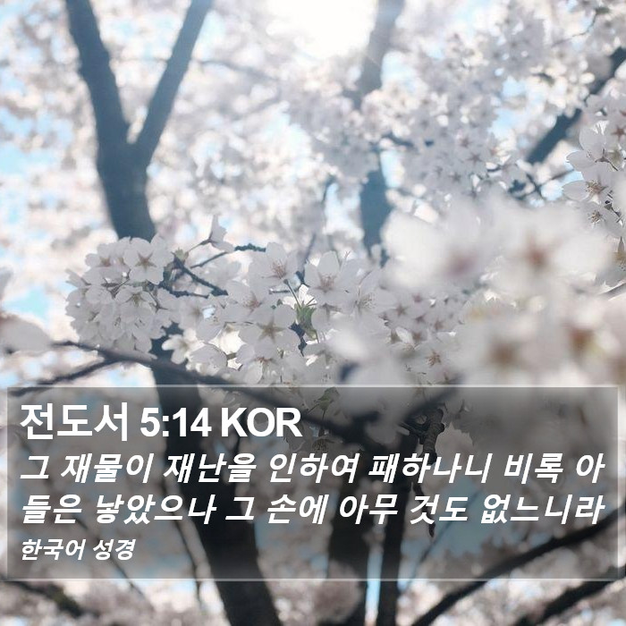 전도서 5:14 KOR Bible Study