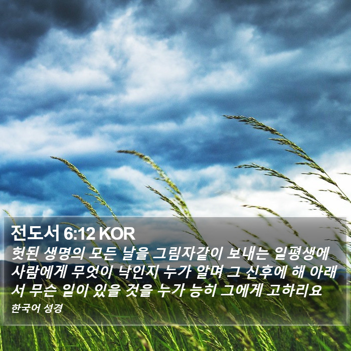 전도서 6:12 KOR Bible Study