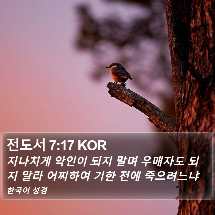 전도서 7:17 KOR Bible Study