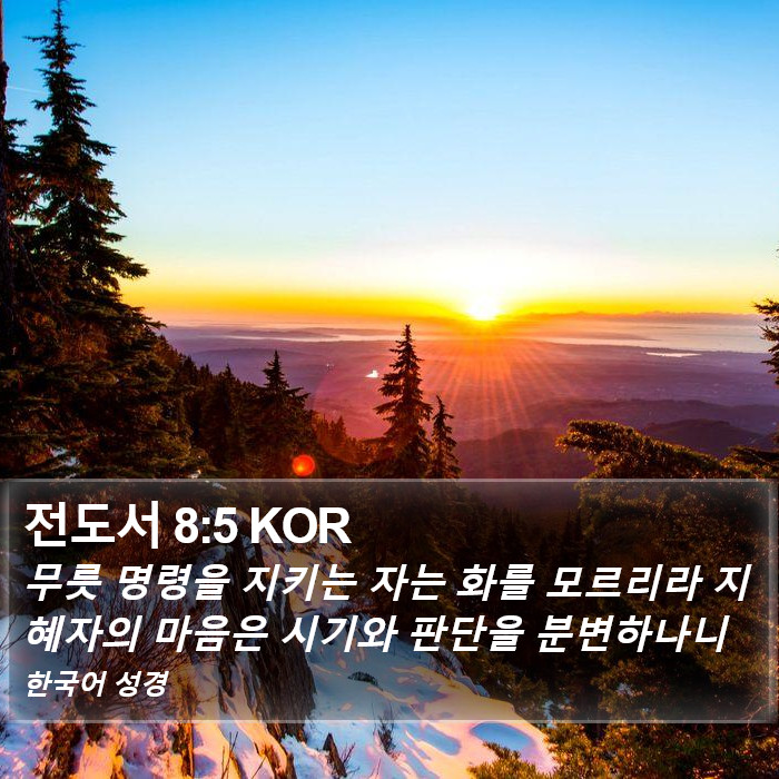 전도서 8:5 KOR Bible Study