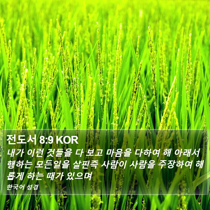 전도서 8:9 KOR Bible Study