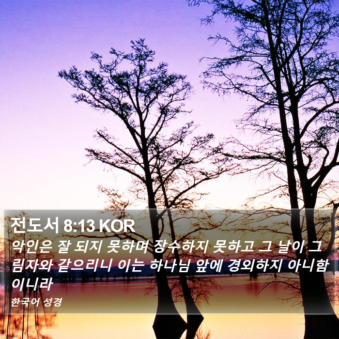 전도서 8:13 KOR Bible Study