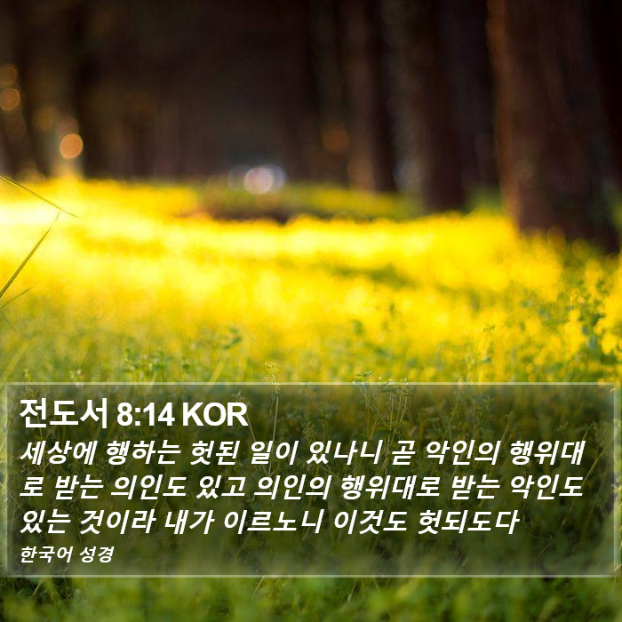 전도서 8:14 KOR Bible Study