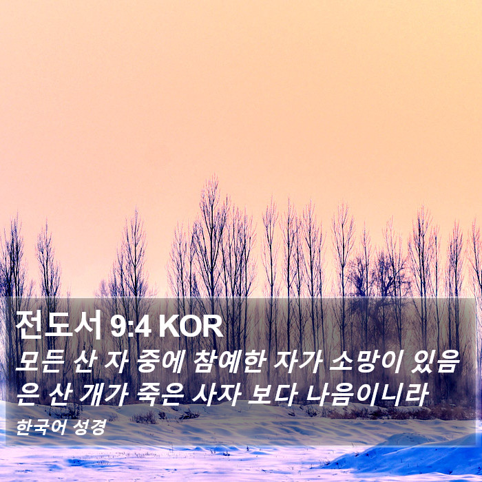 전도서 9:4 KOR Bible Study