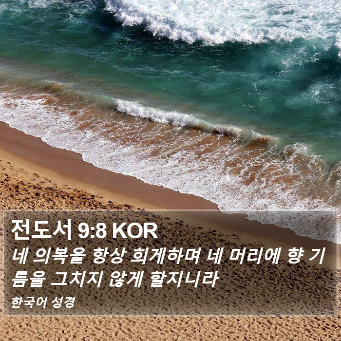 전도서 9:8 KOR Bible Study