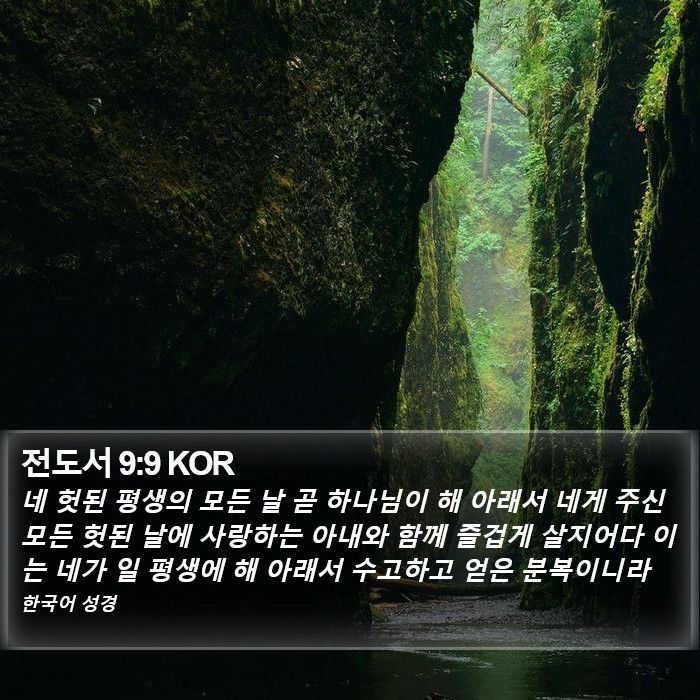 전도서 9:9 KOR Bible Study