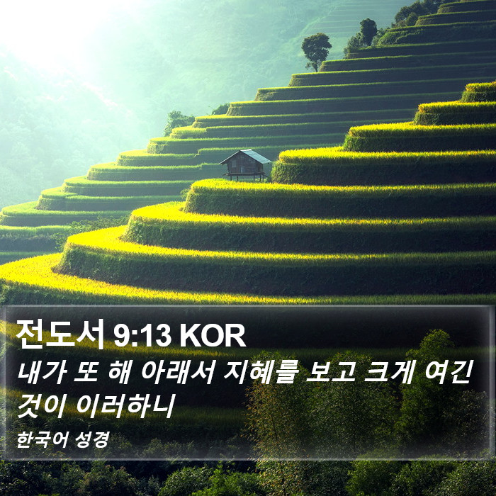 전도서 9:13 KOR Bible Study