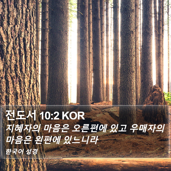 전도서 10:2 KOR Bible Study