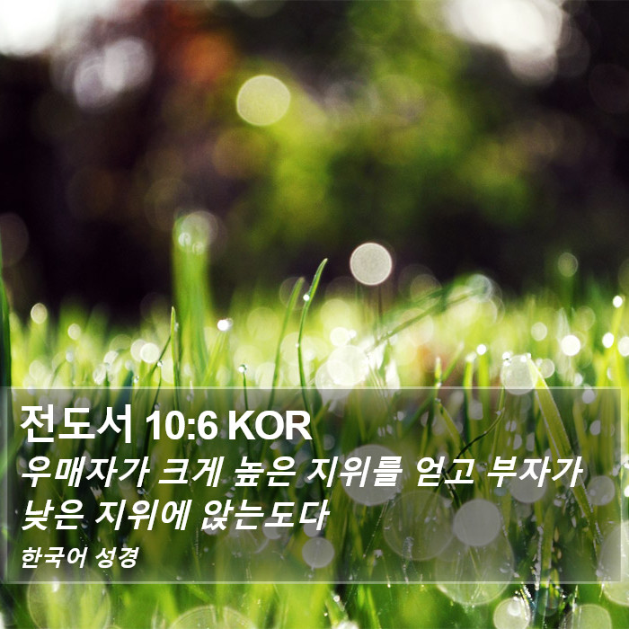 전도서 10:6 KOR Bible Study