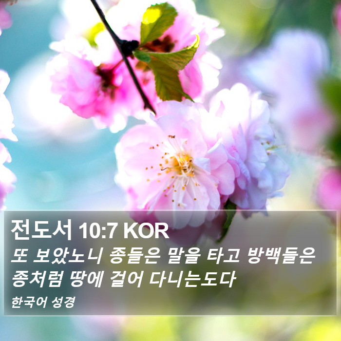 전도서 10:7 KOR Bible Study