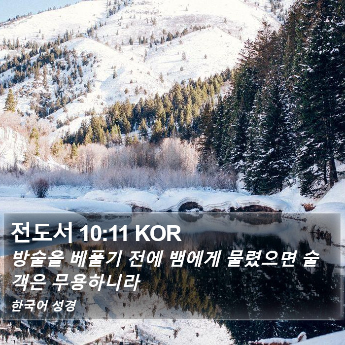 전도서 10:11 KOR Bible Study