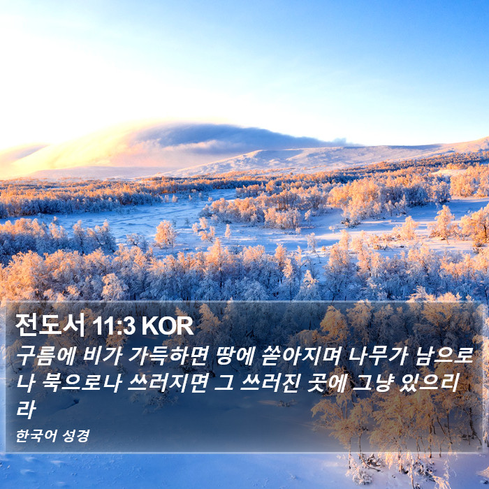 전도서 11:3 KOR Bible Study