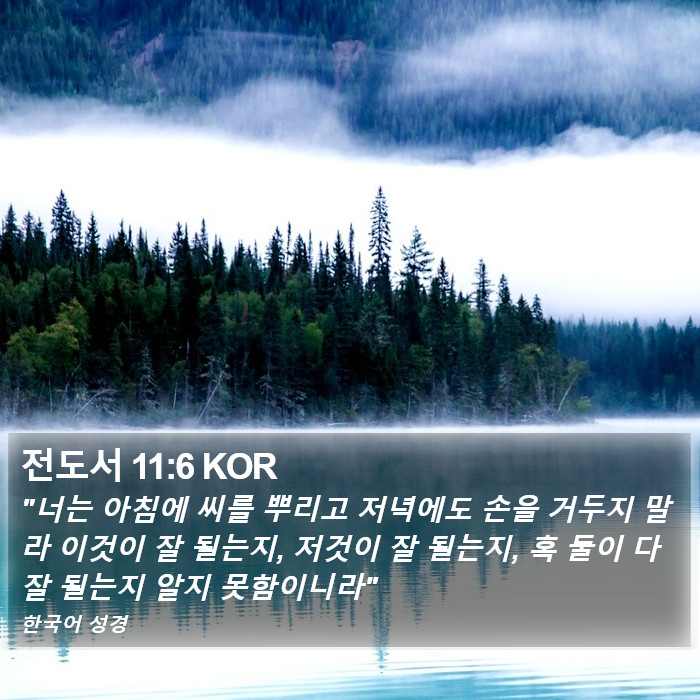 전도서 11:6 KOR Bible Study