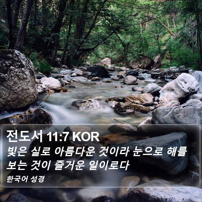 전도서 11:7 KOR Bible Study