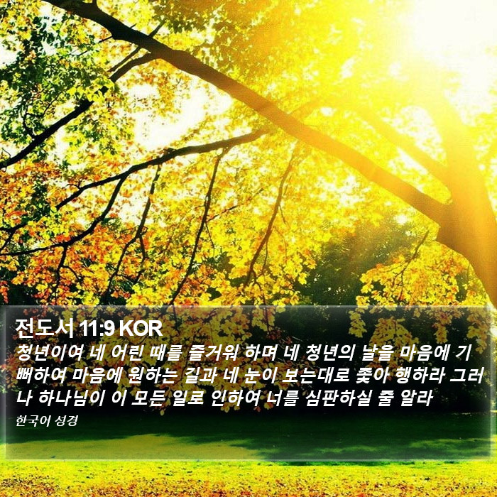 전도서 11:9 KOR Bible Study