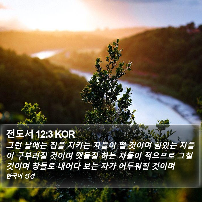 전도서 12:3 KOR Bible Study