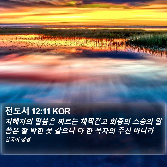 전도서 12:11 KOR Bible Study