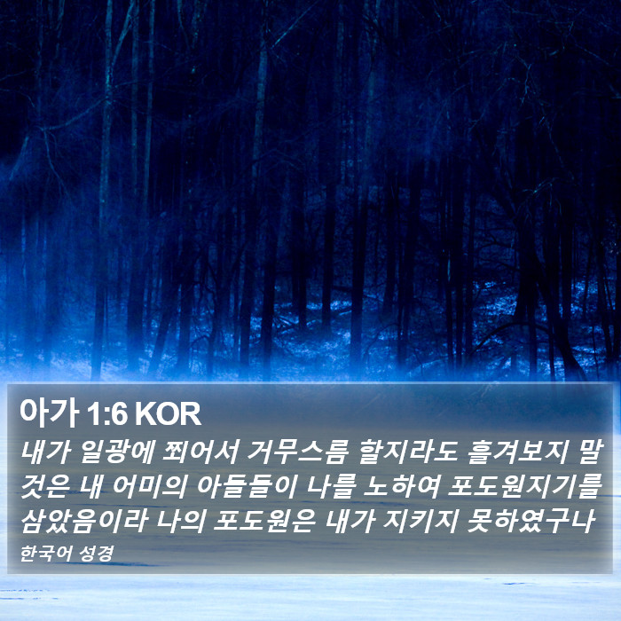 아가 1:6 KOR Bible Study