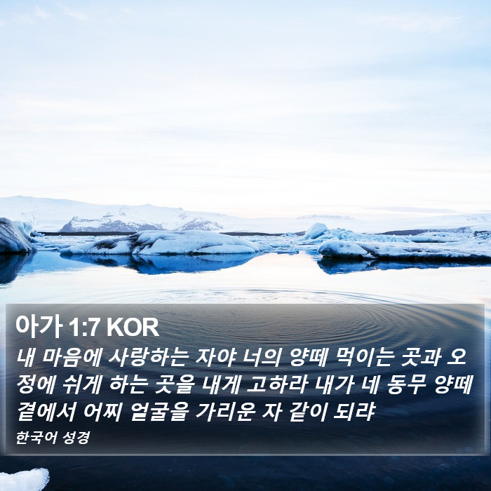 아가 1:7 KOR Bible Study