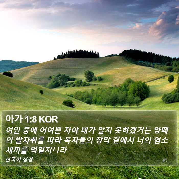 아가 1:8 KOR Bible Study