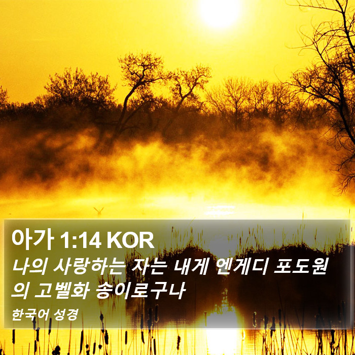 아가 1:14 KOR Bible Study