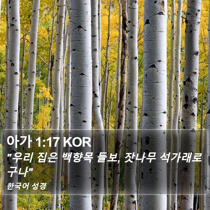 아가 1:17 KOR Bible Study