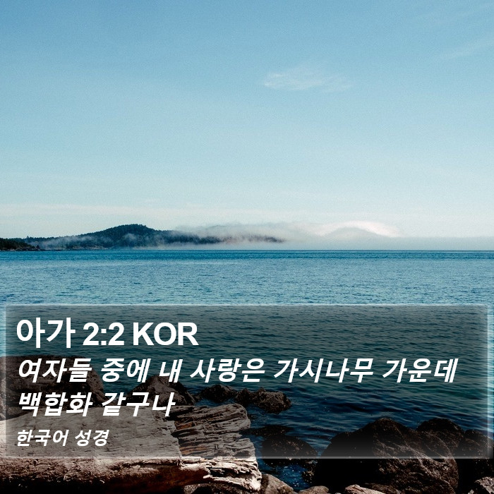 아가 2:2 KOR Bible Study