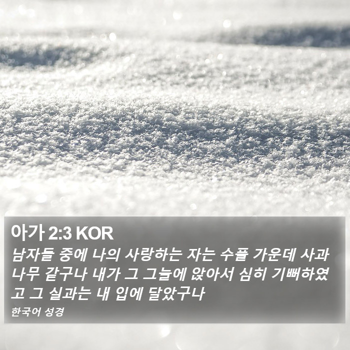 아가 2:3 KOR Bible Study