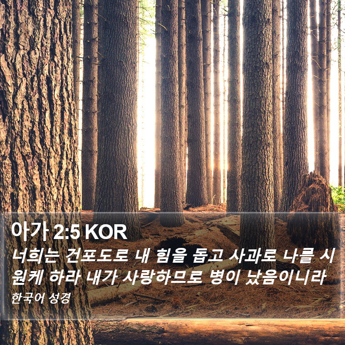 아가 2:5 KOR Bible Study