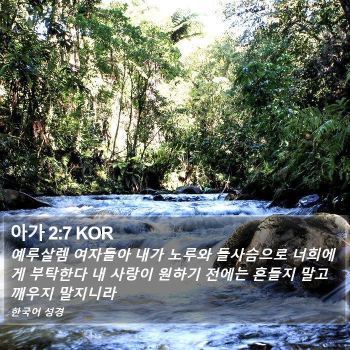 아가 2:7 KOR Bible Study