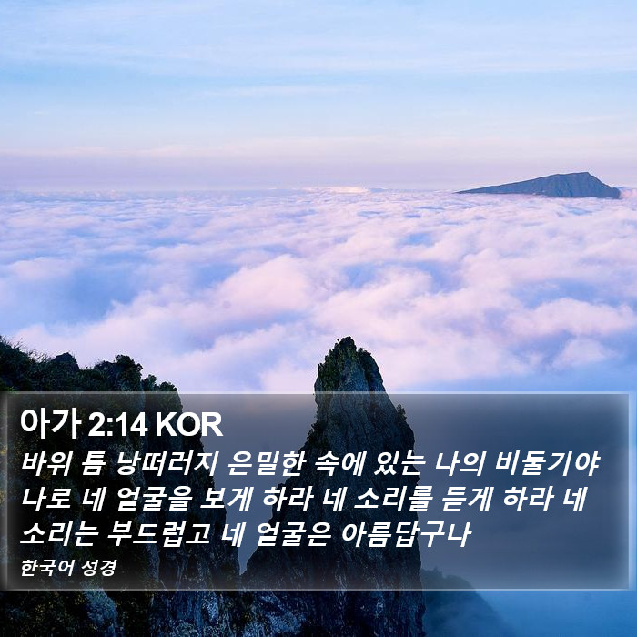 아가 2:14 KOR Bible Study