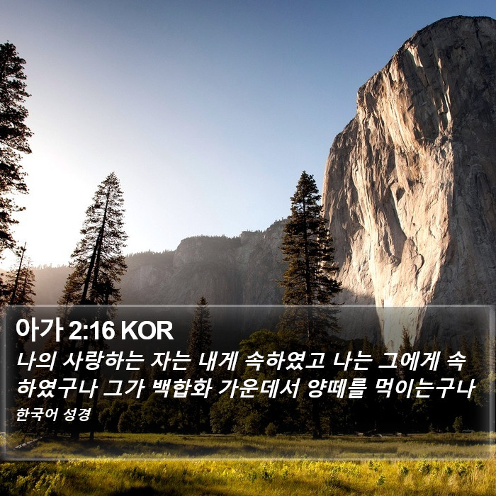 아가 2:16 KOR Bible Study