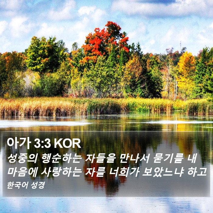 아가 3:3 KOR Bible Study