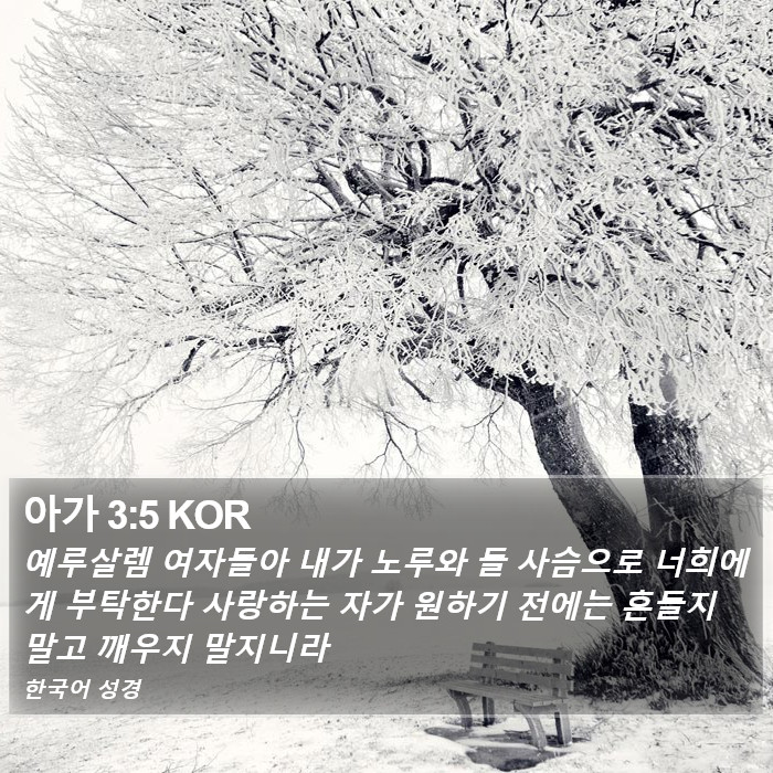 아가 3:5 KOR Bible Study