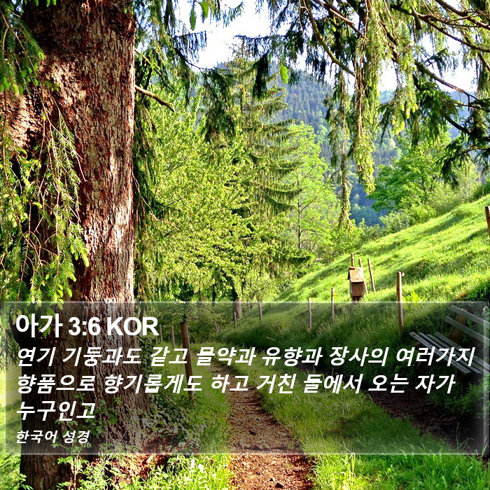 아가 3:6 KOR Bible Study