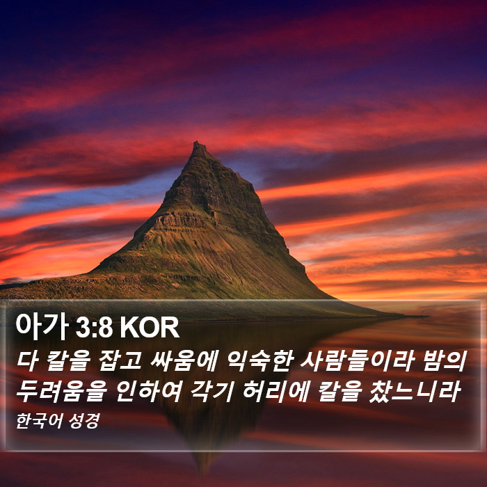 아가 3:8 KOR Bible Study