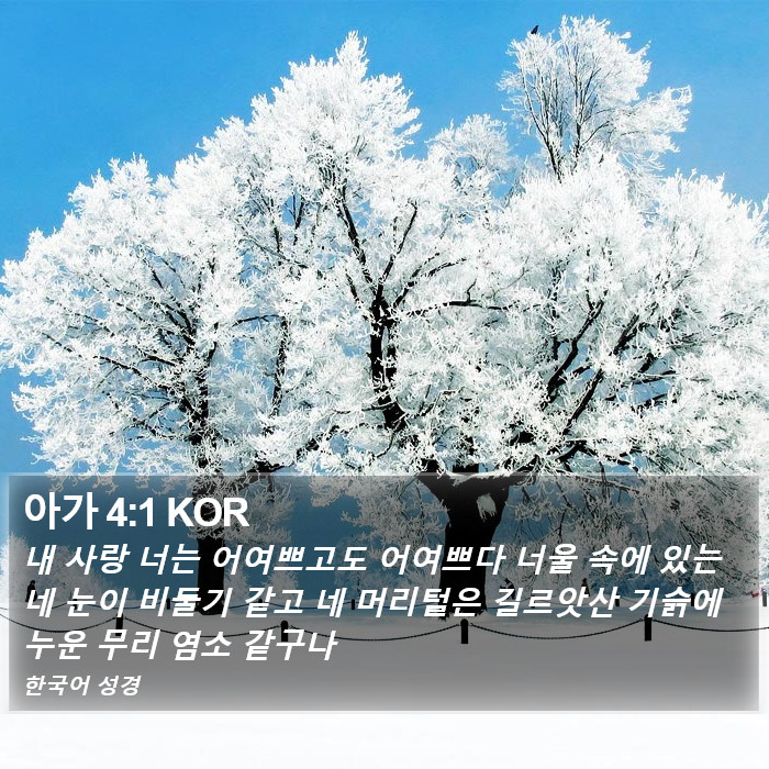 아가 4:1 KOR Bible Study